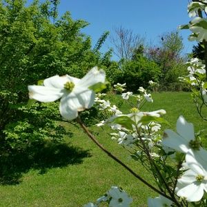 Meet your Posher, Youngsook